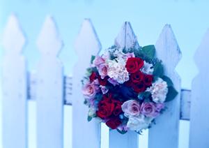 中身を漏らさない便利なチャック袋